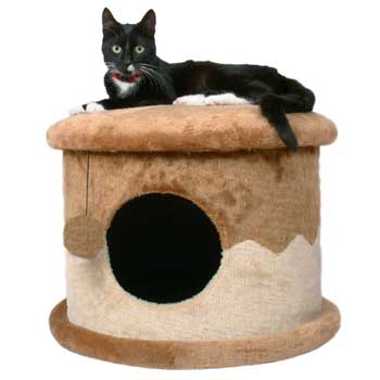 Cat House