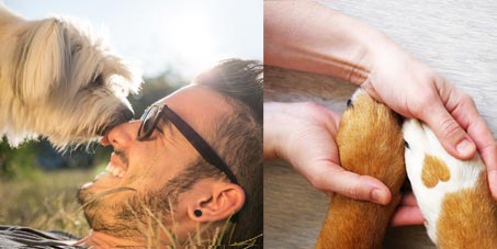 Picture of a man getting licked by a dog in the face and a pair of hands holding a pair of paws