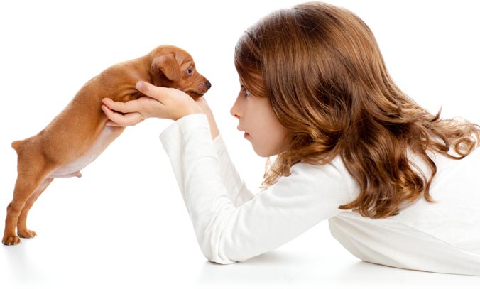 Young girl holding and looking at a puppy