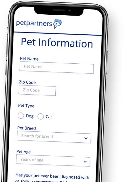 Image of a iPhone 11 visting PetPartners pet insurance website